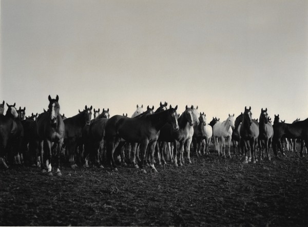 Kurt Markus, Spanish&nbsp;Ranch,&nbsp;Tuscarora,&nbsp;NV, 1983