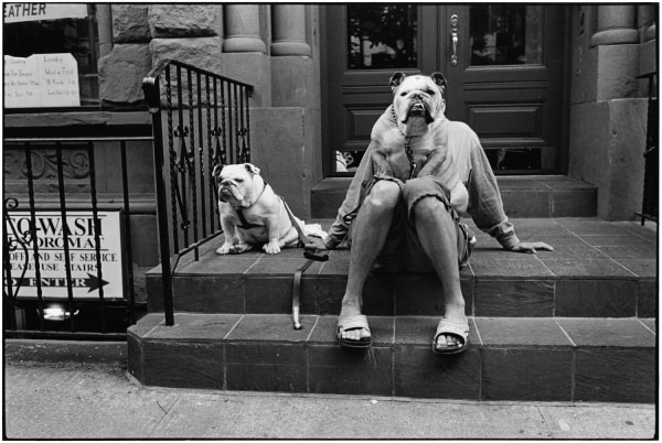 Elliott Erwitt, New York City, USA, 2000