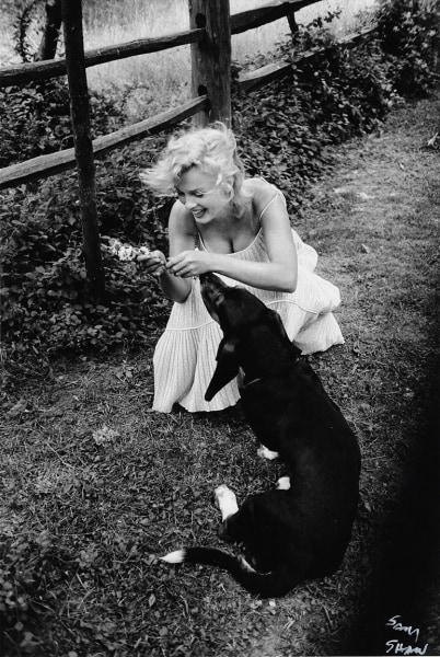 Sam Shaw, Marilyn Monroe with Her Dog Hugo, Amagensett, NY, 1957