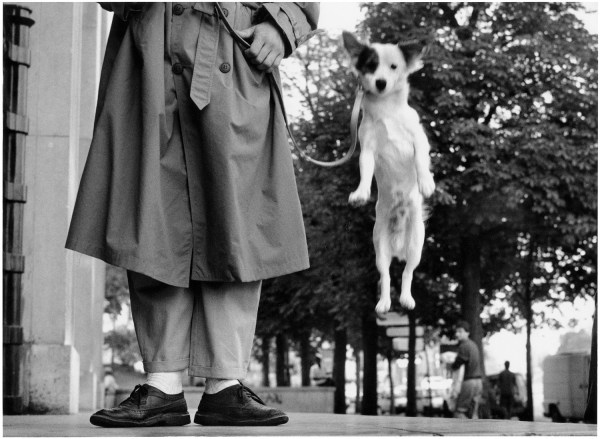 Elliott Erwitt Paris, France, 1989