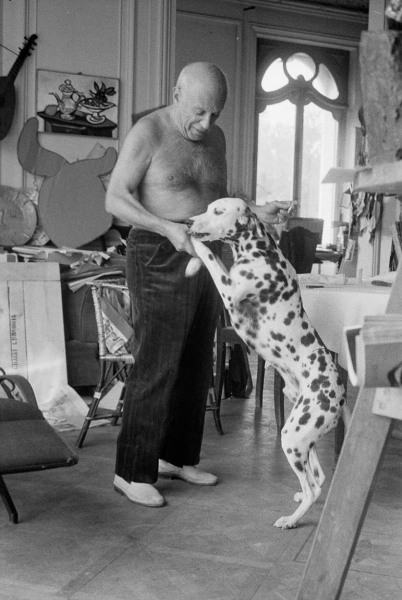 Edward Quinn, Pablo Picasso and his Dalmatian Perro, Cannes, 1959