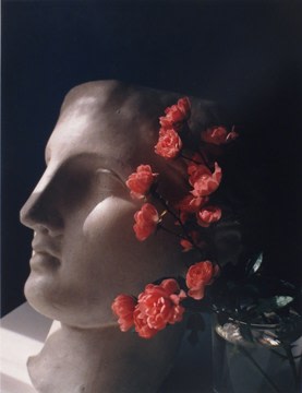 Horst P. Horst, Roses with Antique Head