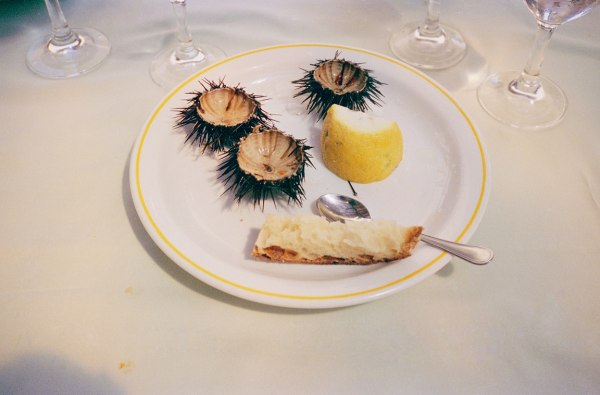 Pamela Hanson, Sea Urchins, Capri, 2005