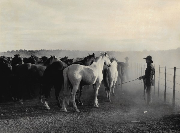 Kurt Markus, Oro Ranch,&nbsp;Prescott,&nbsp;AZ, 1983
