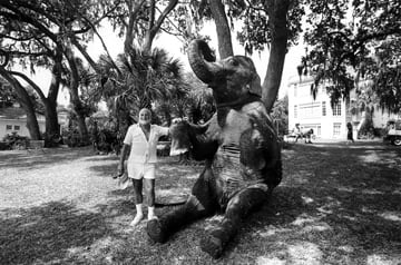 Mary Ellen Mark, John Schlesinger posing with an elephant,  Honky Tonk Freeway, Sarasota, Florida, 1980