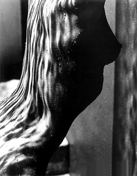 Herb Ritts, Female Torso (Detail), Hollywood, 1989