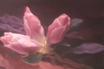 Lillian Bassman, Flower 22 (Three Pink Blossoms), 2006