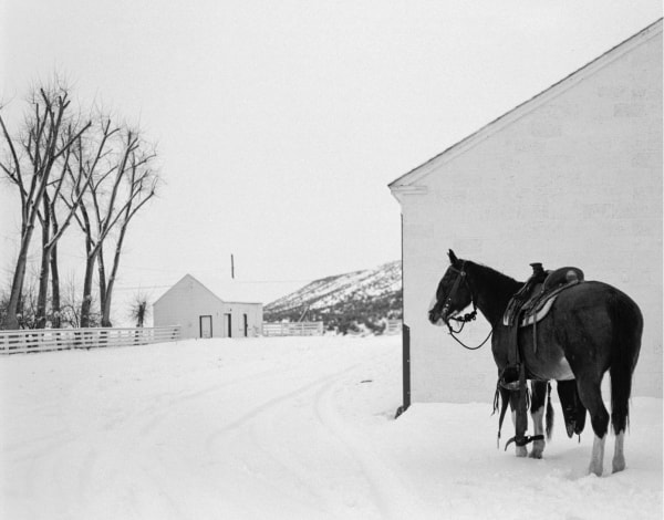 Kurt Markus, YP Ranch, Tuscarora, Nevada, 1984