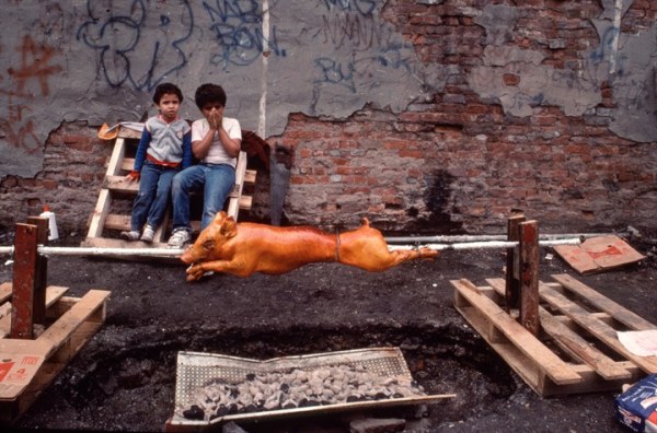Boys roasting pig by Arlene Gottfried