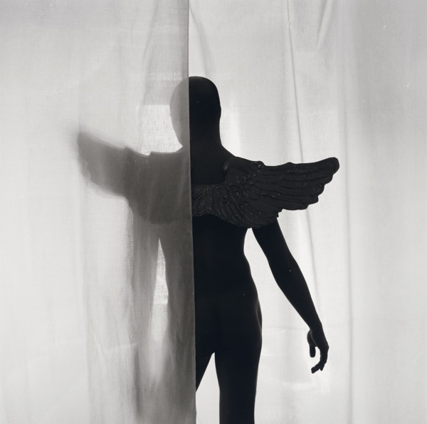 Robert Giard, Male Nude Wearing Angel Wings, 1994