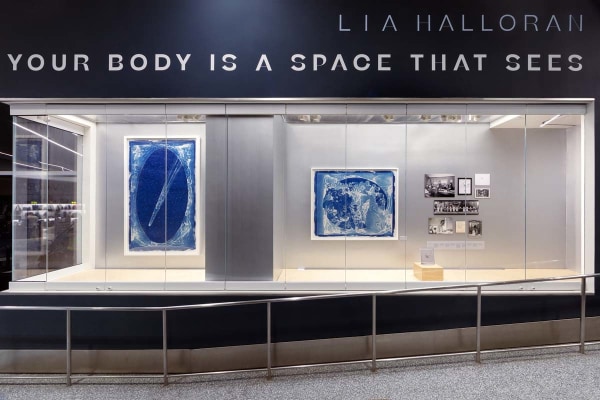 Lia Halloran,&nbsp;Your Body Is A Space That Sees,&nbsp;Terminal 1, Gate 9, post-security, installation view, 2022.&nbsp;Photos courtesy of SKA Studios LLC.