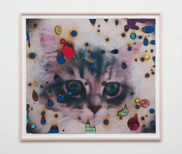 Miyoshi Barosh I &hearts; Kitties, 2014