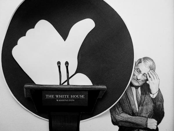 Hugo Crosthwaite A Portrait of Dr. Anthony Fauci, 2022