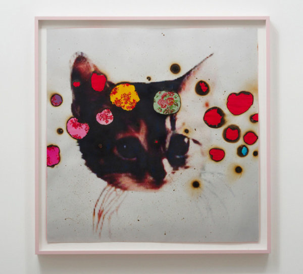 Miyoshi Barosh&nbsp; I &hearts; Kitties, 2014