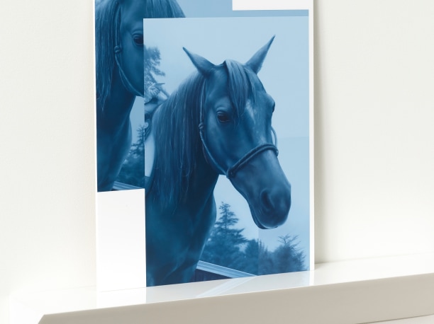 monochromatic blue painting of two portraits of horses