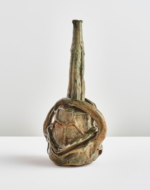 Turtle-back Dinosaur Seed Pod