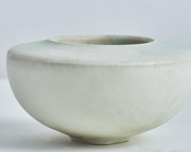 Double Walled Bowl