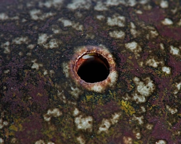 Mushroom