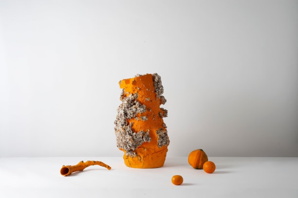 Orange Raining Stone, 2017 and&nbsp;Root-Vain, 2016