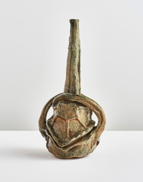 Turtle-back Dinosaur Seed Pod
