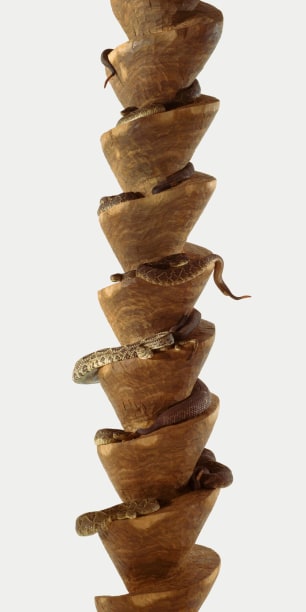 Jos&eacute; Bento &ldquo;Oxumar&eacute;&rdquo;, 2003