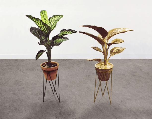 Comigo-ningu&eacute;m-pode, 2017, Plant, earth, ceramics, iron