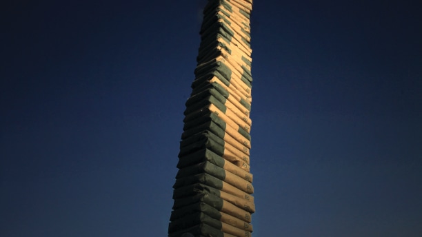 Coluna infinita, 2011, v&iacute;deo