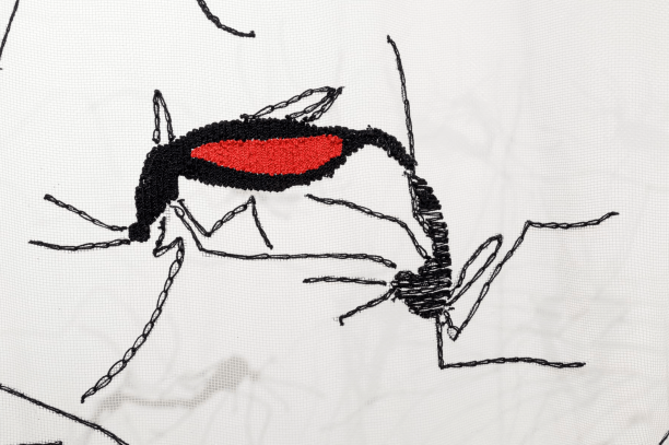 Vivian Caccuri, Detalhe de Santu&aacute;rio do Mosquito,&nbsp;2018