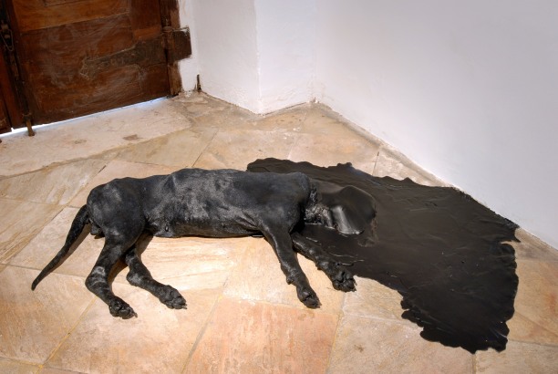 Tatiana Blass, C&atilde;o cego #2, 2009