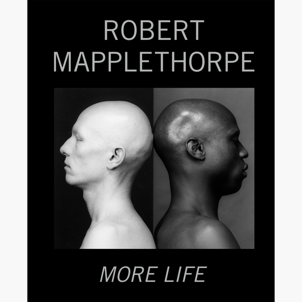 Robert Mapplethorpe: More Life