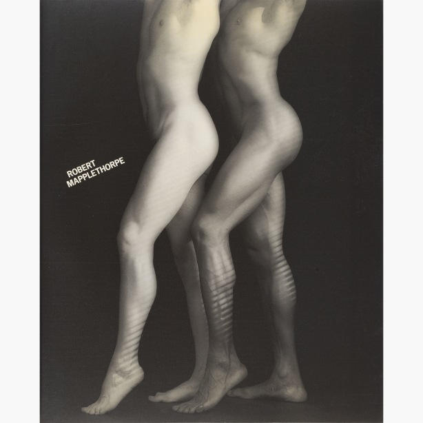 Figure study, two men, one white, one black, photographed from the shoulders down, with bent knees and shadows across calves.