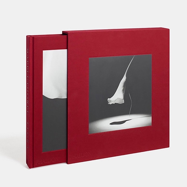 Calla Lily on the cover of Mapplethorpe Flora, image centered on red cloth slipcase