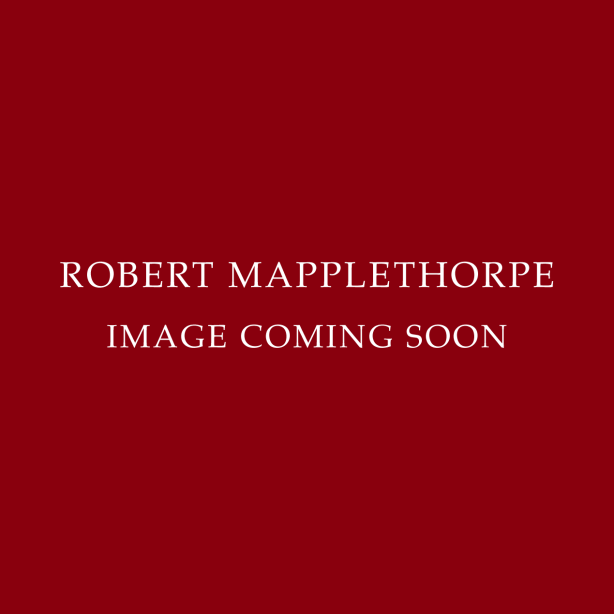 Robert Mapplethorpe: Process