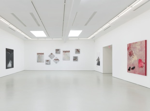 Brenna Youngblood, installation view
