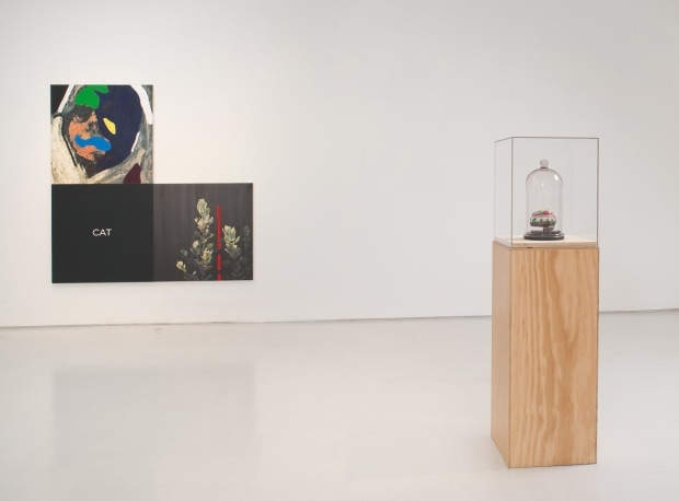Harsh Terrain, installation view