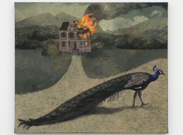 Lenz Geerk by Will Fenstermaker