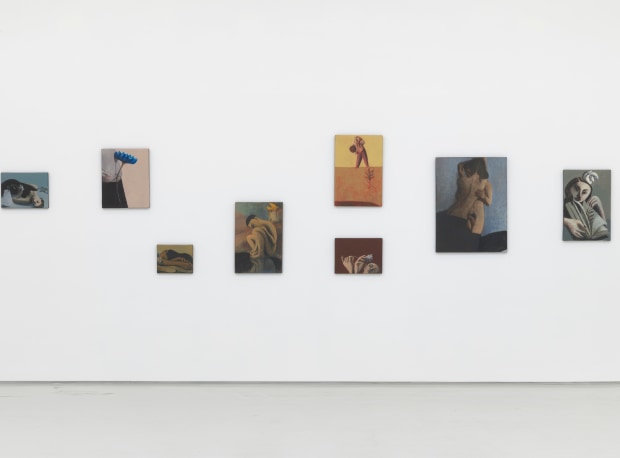 Lenz Geerk, The Table Portraits, Installation view 