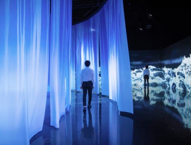 Hiroshi Senju &amp; Teamlab Collaborative Exhibition: Waterness