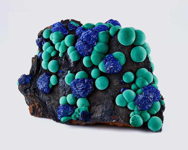 fine mineral photograph of malachite and azurite on a white background for Wilensky Exquisite Minerals.