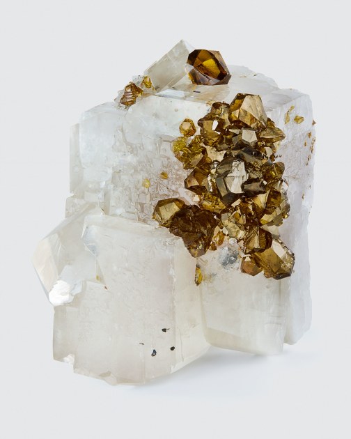 fine mineral photograph of an garnet on calcite with a white background from Wilensky Exquisite Minerals.