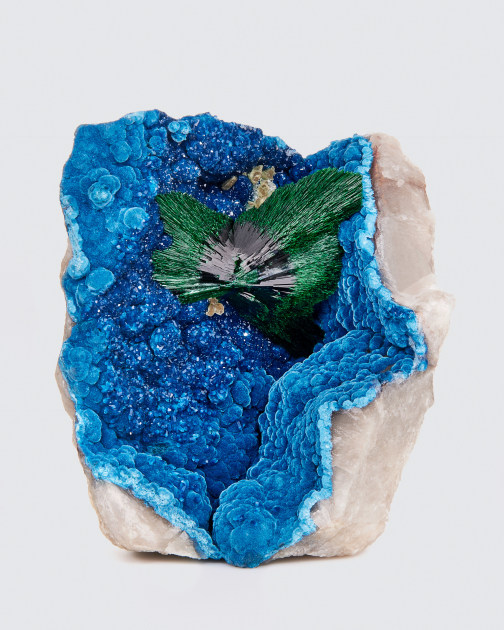 fine mineral photograph of malachite on a white background for Wilensky Exquisite Minerals Habits exhibtion.