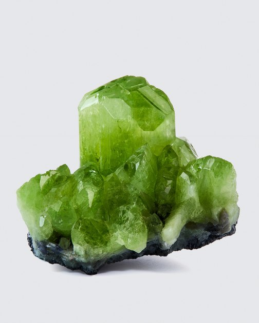 Fine mineral photograph of Diopside on a white background from Wilensky Exquisite Minerals.