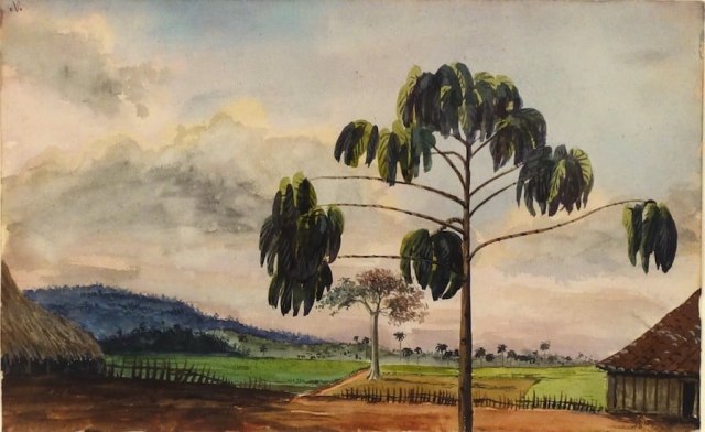 CHARLES DEWOLF BROWNELL Yugo, San Ricardo, Cuba 1857