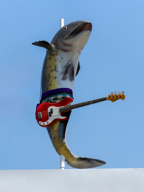 Cosima von Bonin

WHAT IF THEY BARK 04

2022

Glass reinforced plastic, guitar, fabric, chains, and steel stand

70.9 x 47.2 x 39.4 inches

180 x 120 x 100 cm