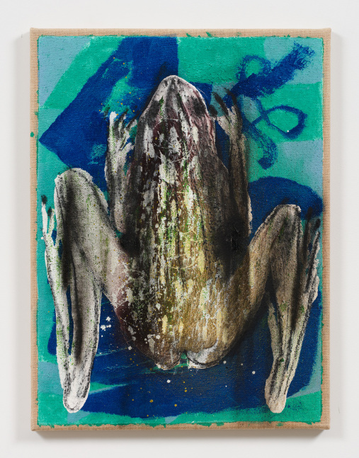 Charline von Heyl

Paradoxical Lamb #13

2022

Acrylic and charcoal on burlap

24 x 18 inches

61 x 45.7 cm

(CvH 23/029)