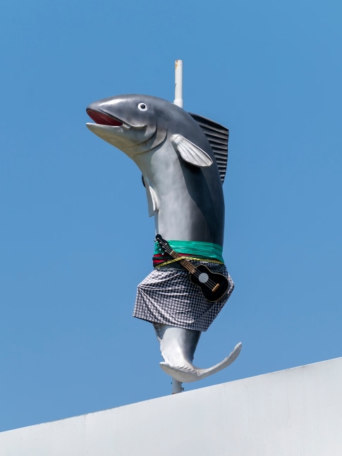 Cosima von Bonin

WHAT IF THEY BARK 05

2022

Glass reinforced plastic, ukulele, fabric, chains, and steel stand

70.9 x 19.7 x 39.4 inches

180 x 50 x 100 cm