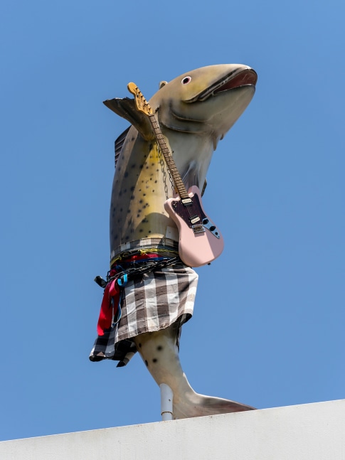 Cosima von Bonin

WHAT IF THEY BARK 01

2022

Glass reinforced plastic, guitar, fabric, chains, and steel stand

70.9 x 27.6 x 39.4 inches

180 x 70 x 100 cm