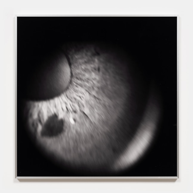 Nikita Gale

NOSEBLEED 10

2024

C-print on Canson Baryta paper mounted on Sintra

30.25 x 30.25 x 1.25 inches

76.8 x 76.8 x 3.2 cm

Edition of 3, 2 AP

(NG 24/033)