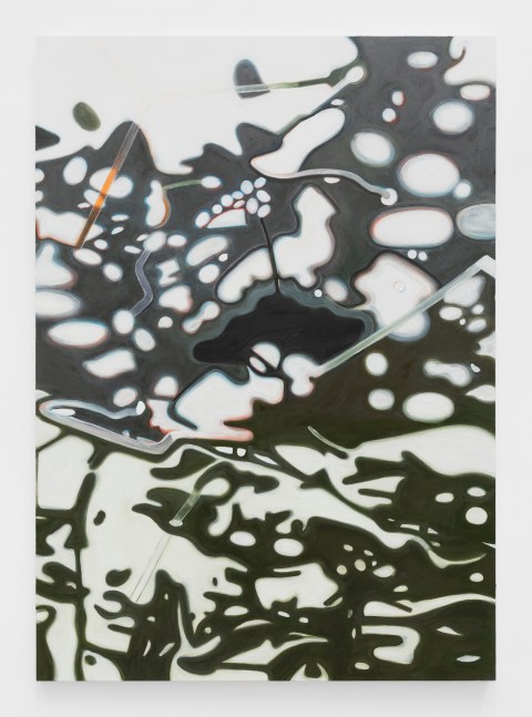 Ross Bleckner

Everytime I Read

2023

Oil on linen

84 x 60 inches

213.4 x 152.4 cm

(BR 24/002)