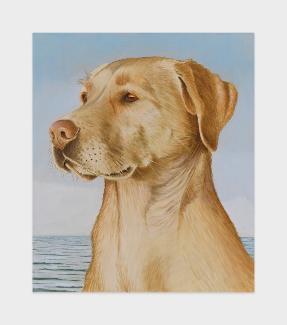 Sean Landers

Yellow Lab

2022

Oil on linen

39 x 33 inches

99.1 x 83.8 cm